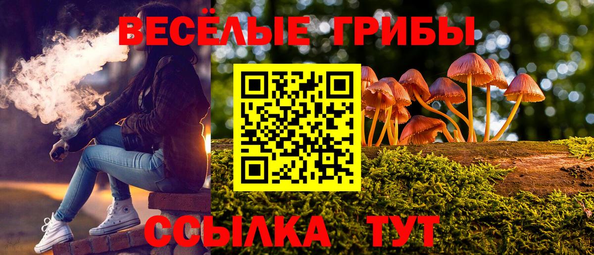 Псилоцибиновые грибы Cubensis  продажа наркотиков  Пыть-Ях  Вход с VPN 